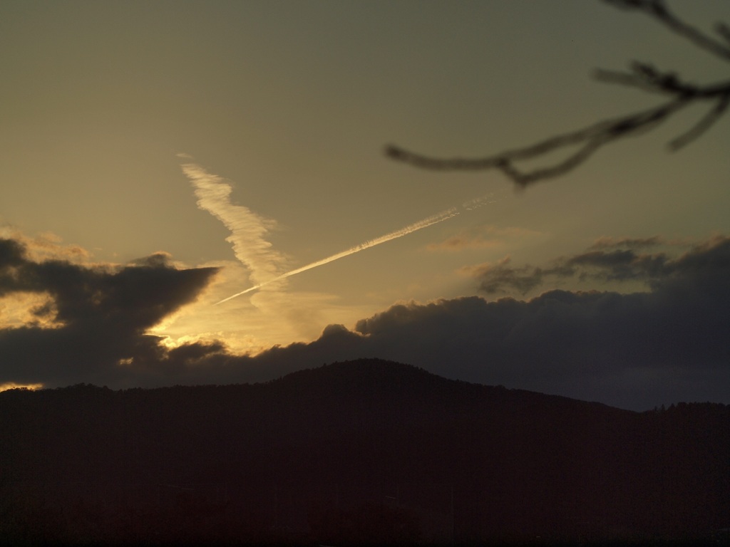 夕日に向かって