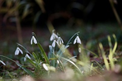 午後の暖か陽だまり