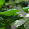 朝陽の中で