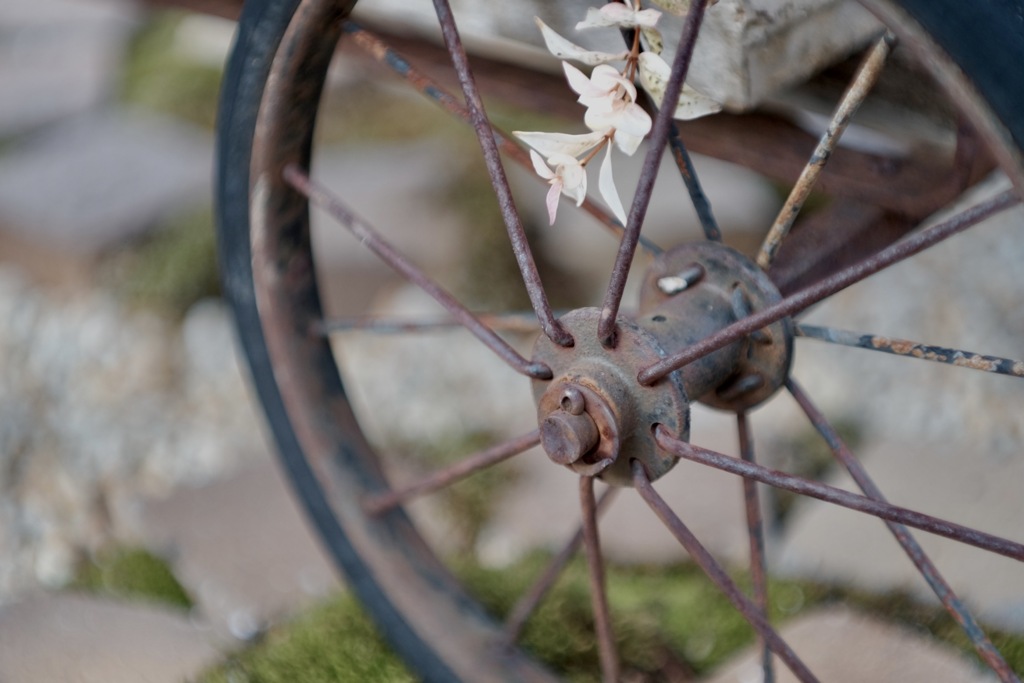 花車