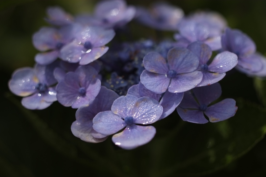 まだ頑張るぞ！