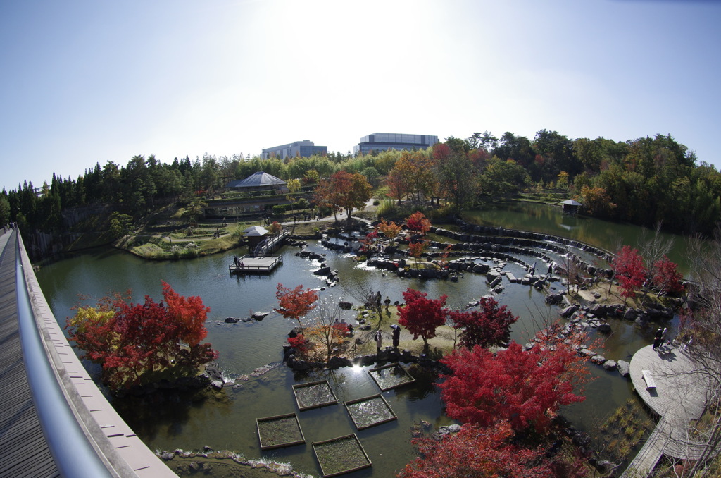 観月橋から水景園