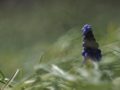 ハルに誘われて　3