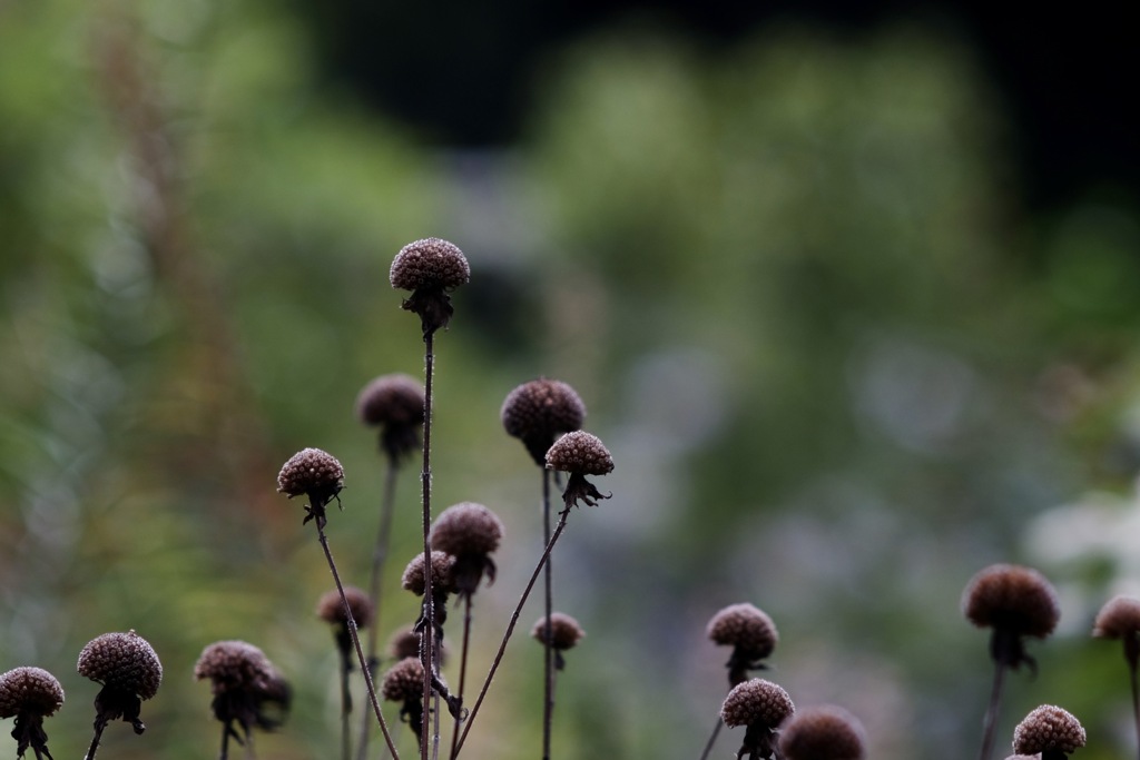 なんとなく　秋のはじまり　lV