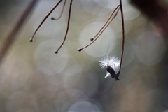道のり