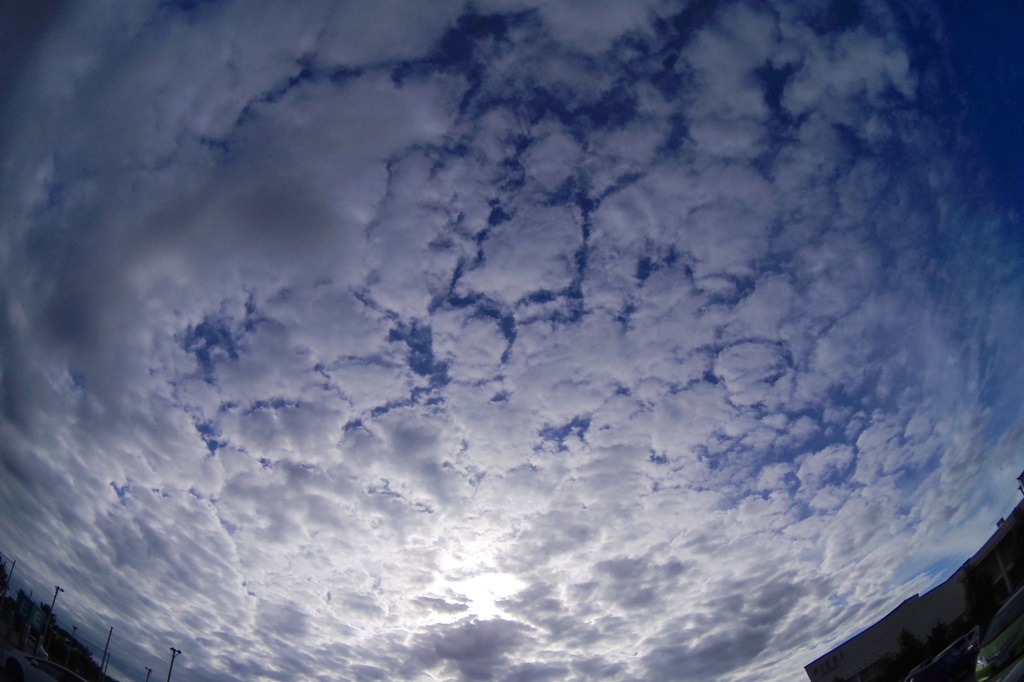 昨日からやけに涼しい。