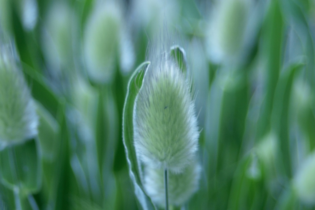 こんにちは〜 ^_^v