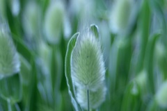 こんにちは〜 ^_^v