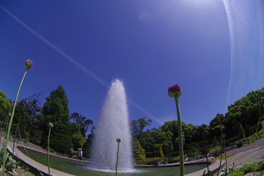 私のあおぞら　2