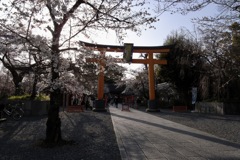 平野神社の夕