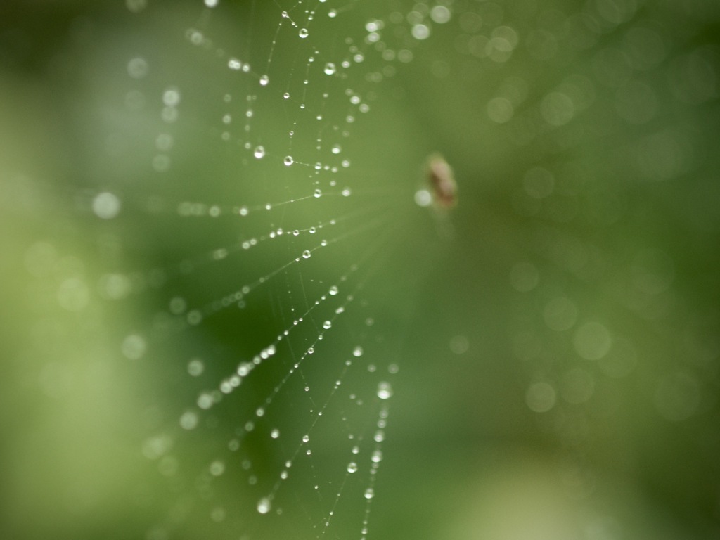 ある雨の午前