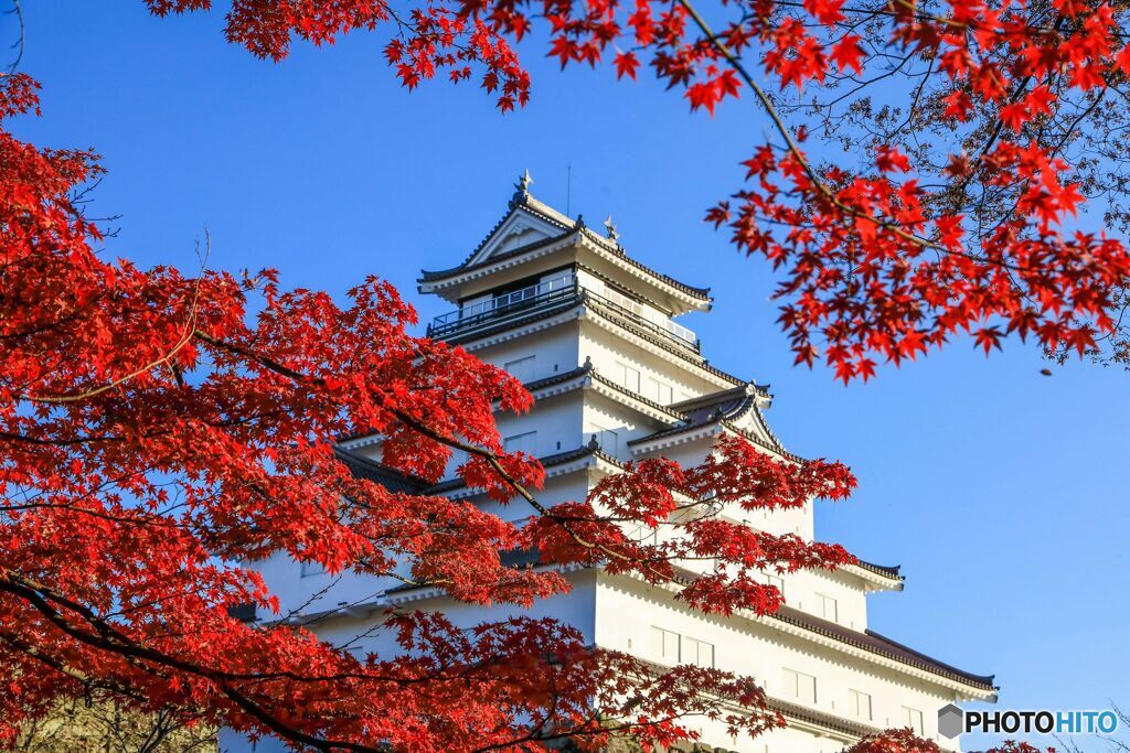 秋色の鶴ヶ城＃１
