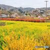花見山公園＃１