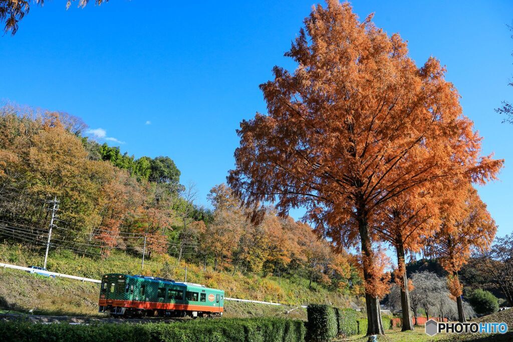 秋色の真岡鉄道2023