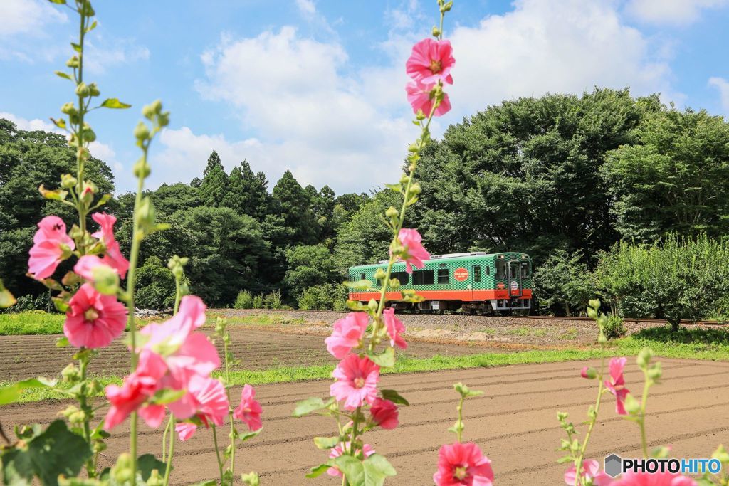 色とりどり！？