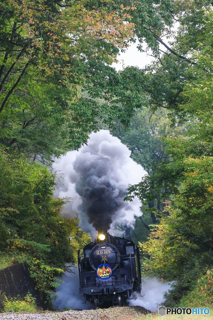 ハロウイン列車＃２