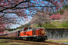 トロッコわたらせ渓谷号参上！！！