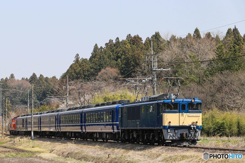 臨時快速『本物の出会い栃木号』！