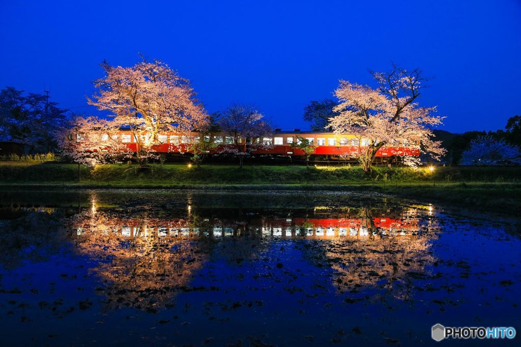 夜桜お七？？？