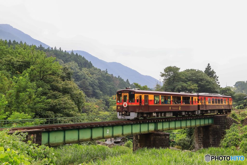 トロッコわっしー号！
