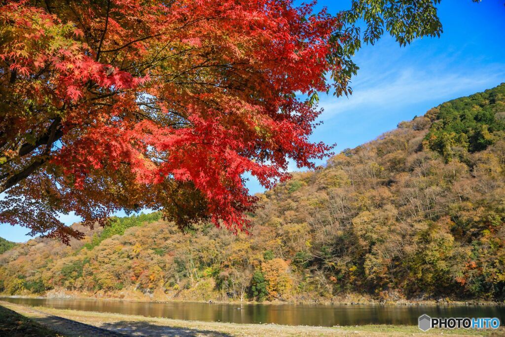 関東の嵐山？＃３