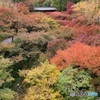 京都東福寺