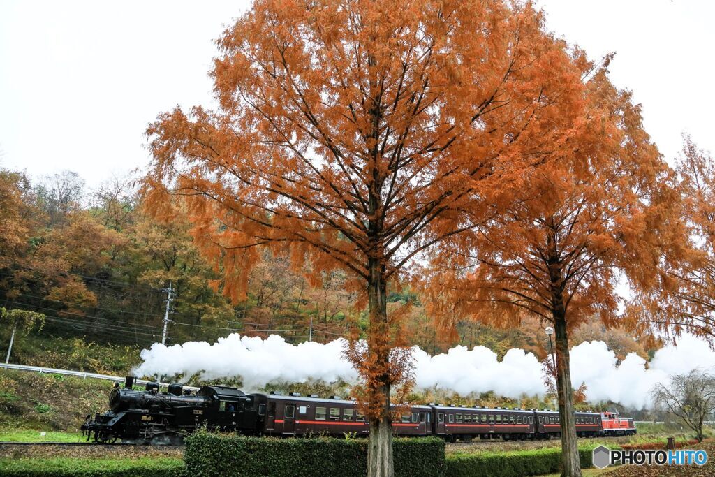 秋色のSLもおかプッシュプル＃２