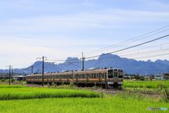 秋の気配が。。。