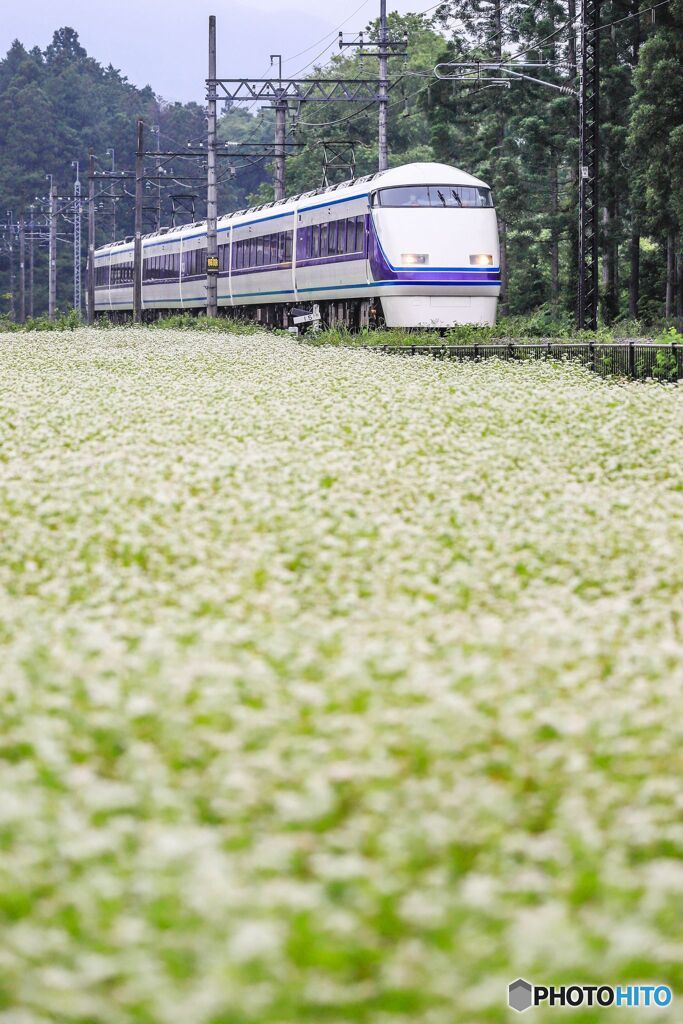 スペーシアと蕎麦の花＃１