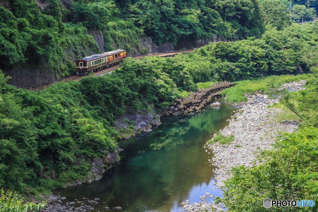 新緑のトロッコわっしー号