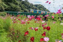 初秋の鉄道風景＃２