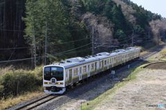 ２０５系いろは号！