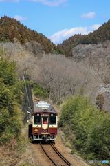 晴天のローカル線！