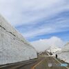 立山室堂雪の大谷