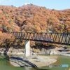 秋色の野岩鉄道＃湯西川温泉