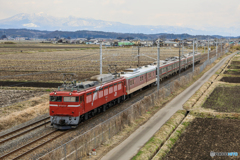 なつかしの電気機関車！