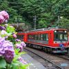 あじさい列車！