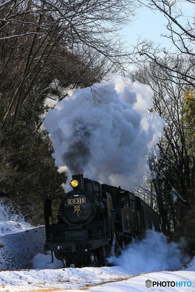 初大雪の芳賀路