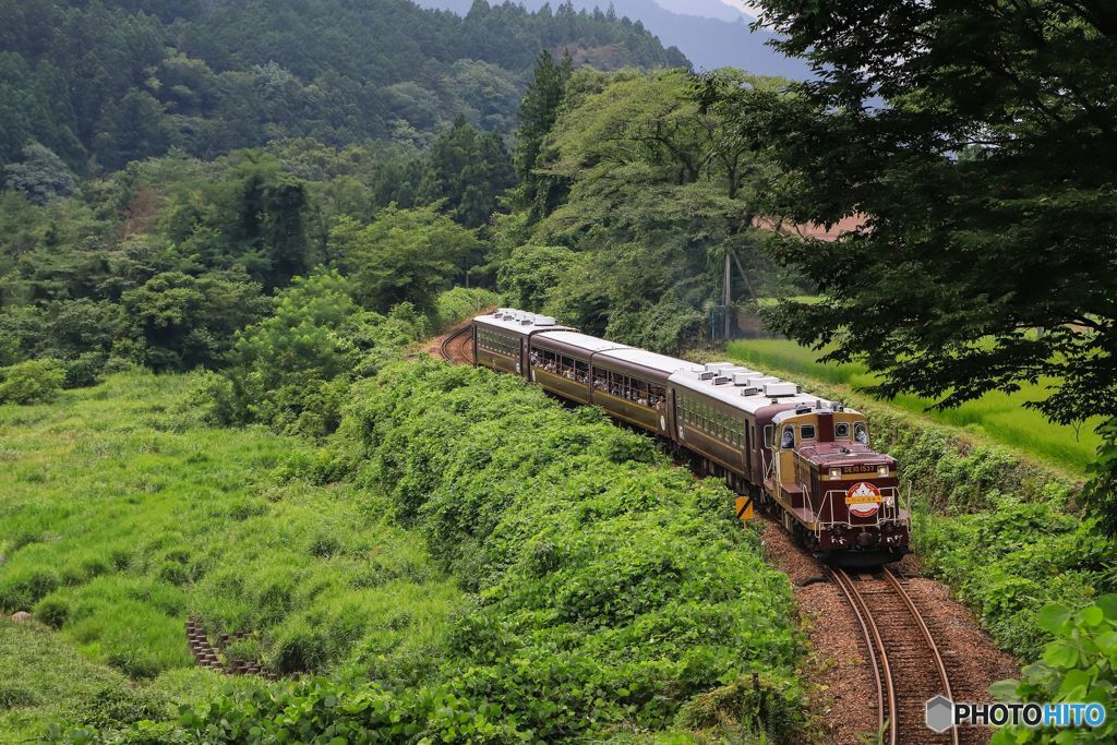 トロッコわたらせ渓谷号！