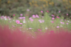 DSC00630