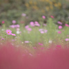 DSC00630
