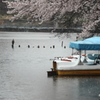 雨ニモマケズ