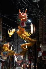 midnight dragon