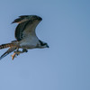 hunting6