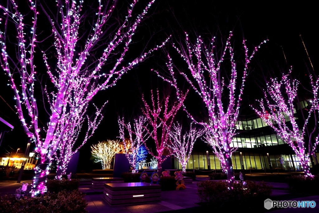 やすぎイルミネーション｢どじょナリエ2020｣