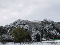 雪の米子城跡