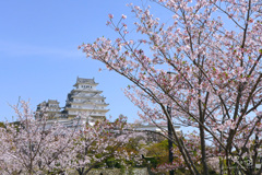 姫路城