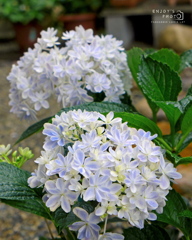 万華鏡
