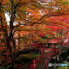 安来清水寺②