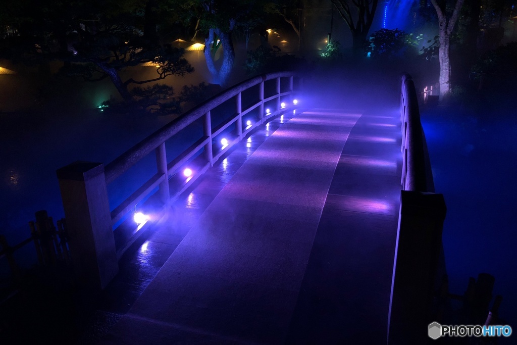 由志園　サマーイルミネーション2018　①